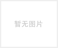 TPA专业会议音箱T-6